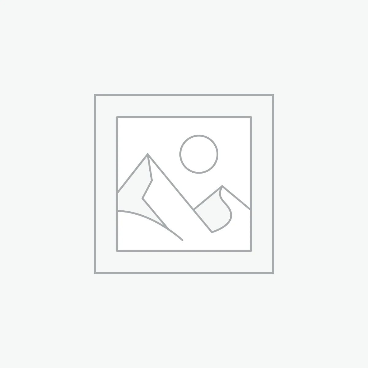 Zástupný symbol
